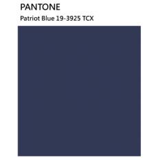Pantone 散張 19-3925 TCX Patriot Blue