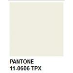 Pantone 散張 11-0606 TPX Pristine