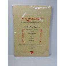 純正環保羊皮紙  Real Parchment  100gsm  100張  黃色  僅有1包  $32/包
