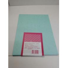 SUSUKI 皮紋紙 100gsm 40張 湖水藍色 僅有2包  $9/包