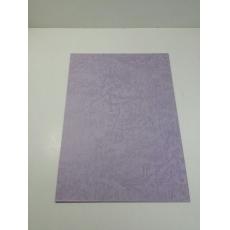 A Pro 皮紋紙 100gsm 60張 紫色 僅有2包  $12/包