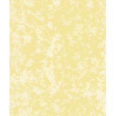純正環保羊皮紙 Real Parchment  100-7-A4 100克 米黃(包）