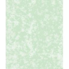 純正環保羊皮紙 Real Parchment  100-9-A4 100克 綠色(包）