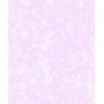 純正環保羊皮紙 Real Parchment  100-10-A4 100克 紫色(包）