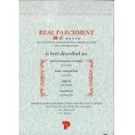 純正環保羊皮紙 Real Parchment  100-11-A4 100克 灰色(包）（僅限2包）