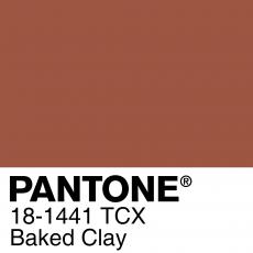 PANTONE 散張 18-1441 TCX Baked Clay