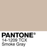 PANTONE 散張 14-1209 TCX Smoke Gray